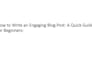 write high quality SEO blog posts and articles